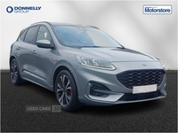 Ford Kuga 2.0 EcoBlue mHEV ST-Line X Edition 5dr in Fermanagh