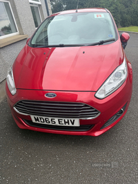 Ford Fiesta 1.0 EcoBoost 125 Titanium X 5dr in Tyrone
