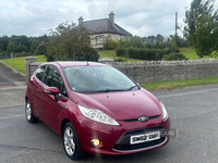 Ford Fiesta 1.25 Zetec 3dr [82] in Down
