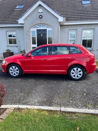 Audi A3 1.6 TDI 5dr in Down