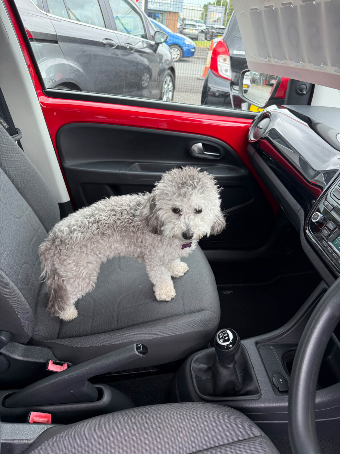 Car Thumbnail 5