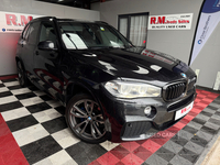 BMW X5 DIESEL ESTATE in Tyrone