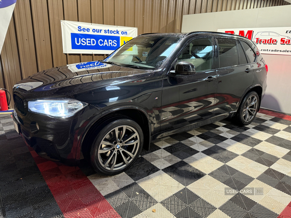 BMW X5 DIESEL ESTATE in Tyrone