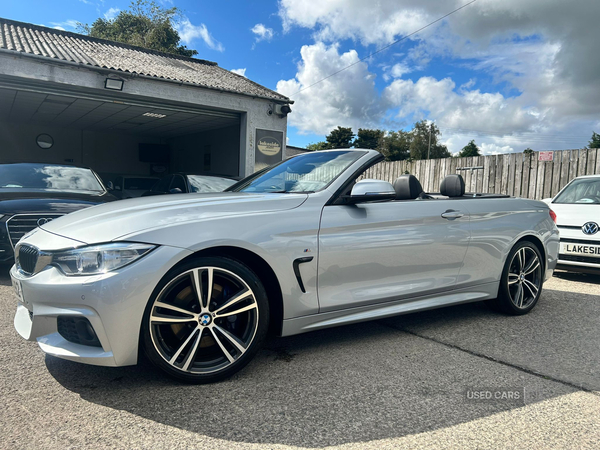 BMW 4 Series CONVERTIBLE in Down
