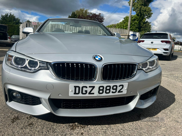 BMW 4 Series CONVERTIBLE in Down