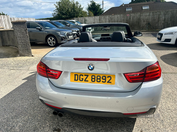 BMW 4 Series CONVERTIBLE in Down
