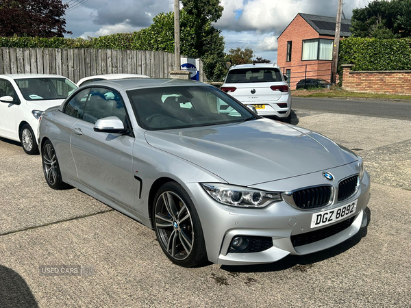 BMW 4 Series CONVERTIBLE in Down