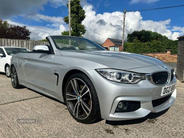 BMW 4 Series CONVERTIBLE in Down