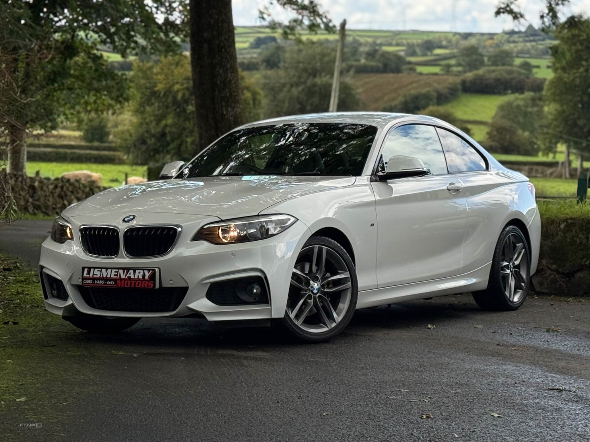 Oct 2015 BMW 2 Series 220d [190] M Sport 2dr
