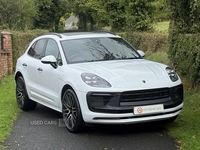 Porsche Macan T V6 GTS in Antrim