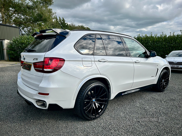 BMW X5 DIESEL ESTATE in Antrim