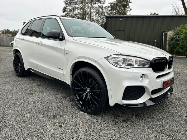 BMW X5 DIESEL ESTATE in Antrim