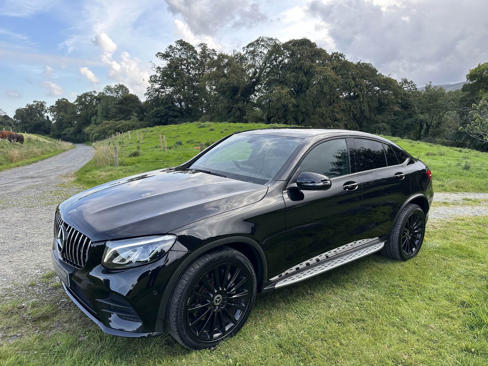 Car Thumbnail 10