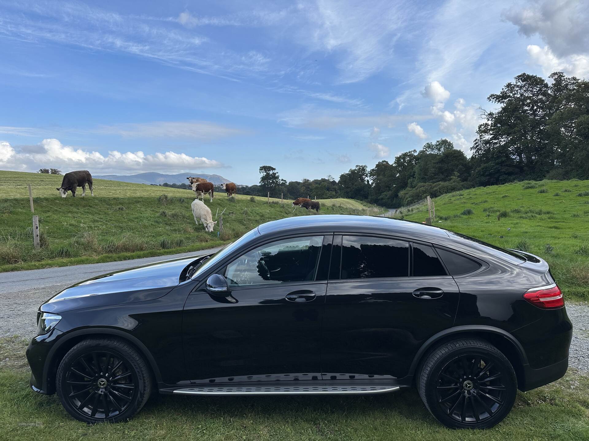 Car Thumbnail 12