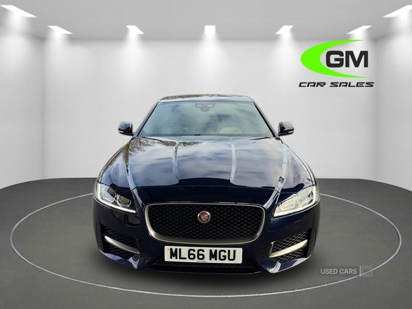 Jaguar XF DIESEL SALOON in Armagh
