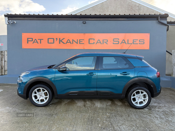 Citroen C4 Cactus DIESEL HATCHBACK in Derry / Londonderry