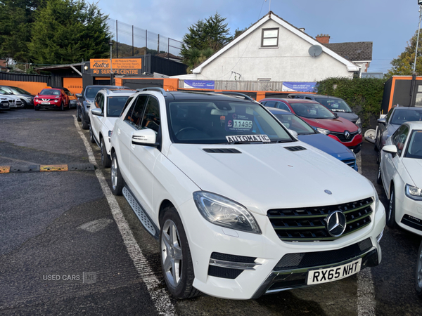 Mercedes M-Class DIESEL STATION WAGON in Antrim