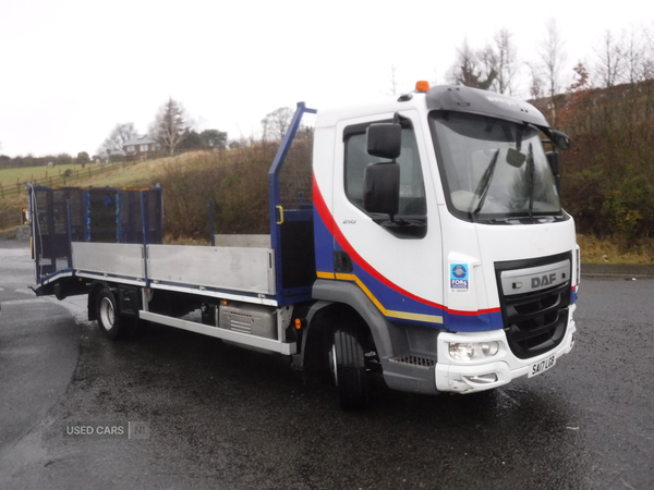 Daf 2017 Daf LF 210 FA 4x2 Beavertail plant lorry in Down